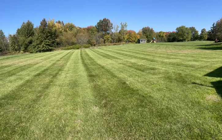 Fertilization & Snow Removal Services