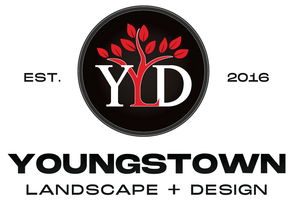 Youngstown-Logo